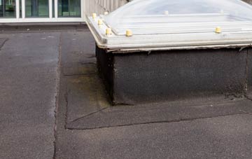 disadvantages of Glib Cheois flat roofs
